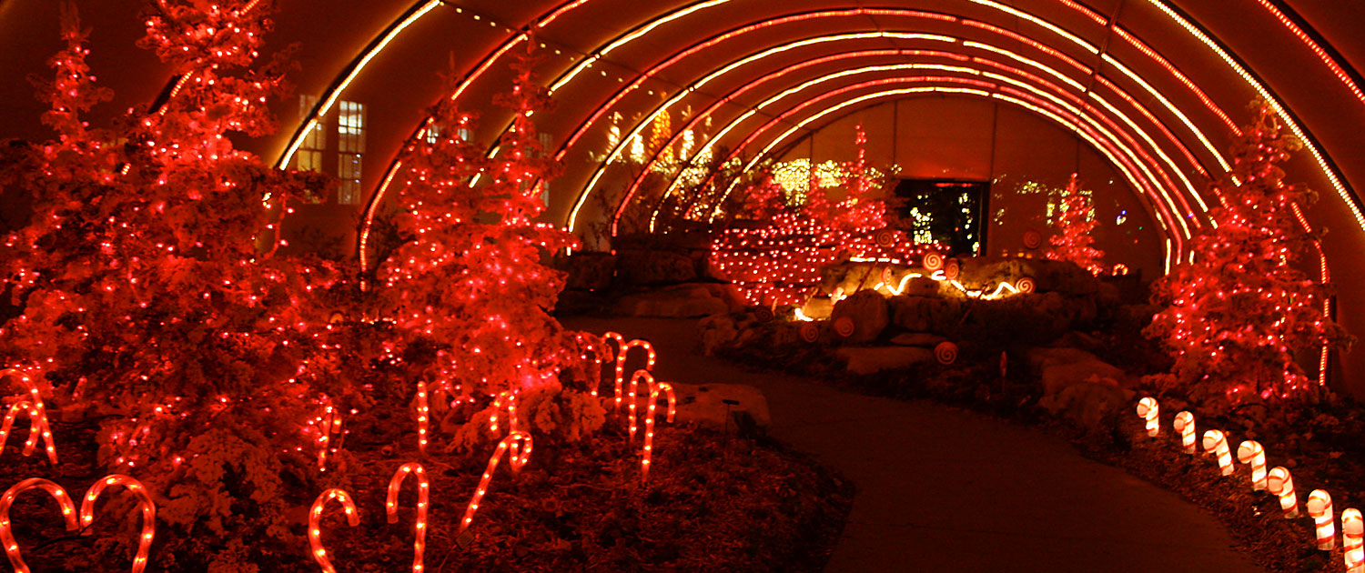 Design Build - Botanica